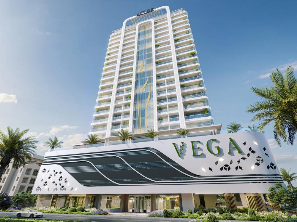Gallery Vega#11