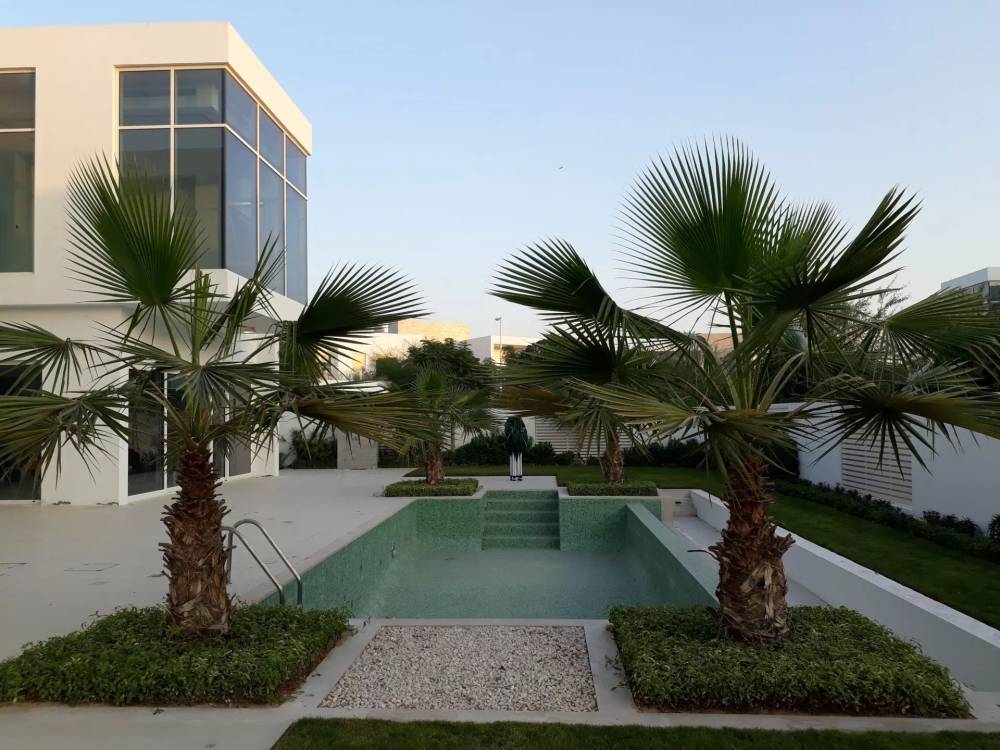 Gallery The Nest Villas#4