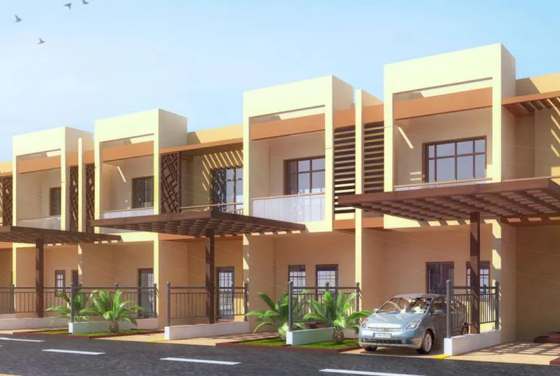Sahara Meadows II