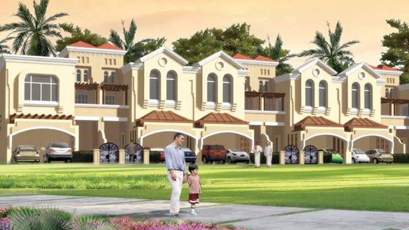 Gallery Sahara Meadows#1