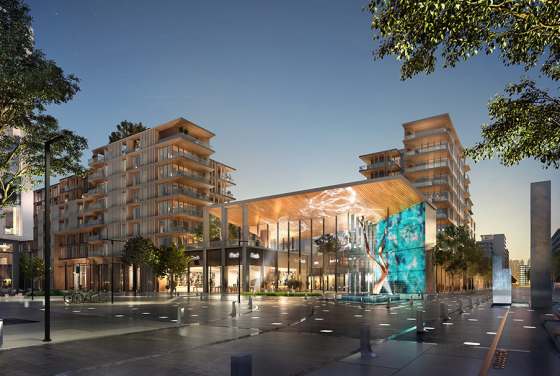 Saadiyat Grove