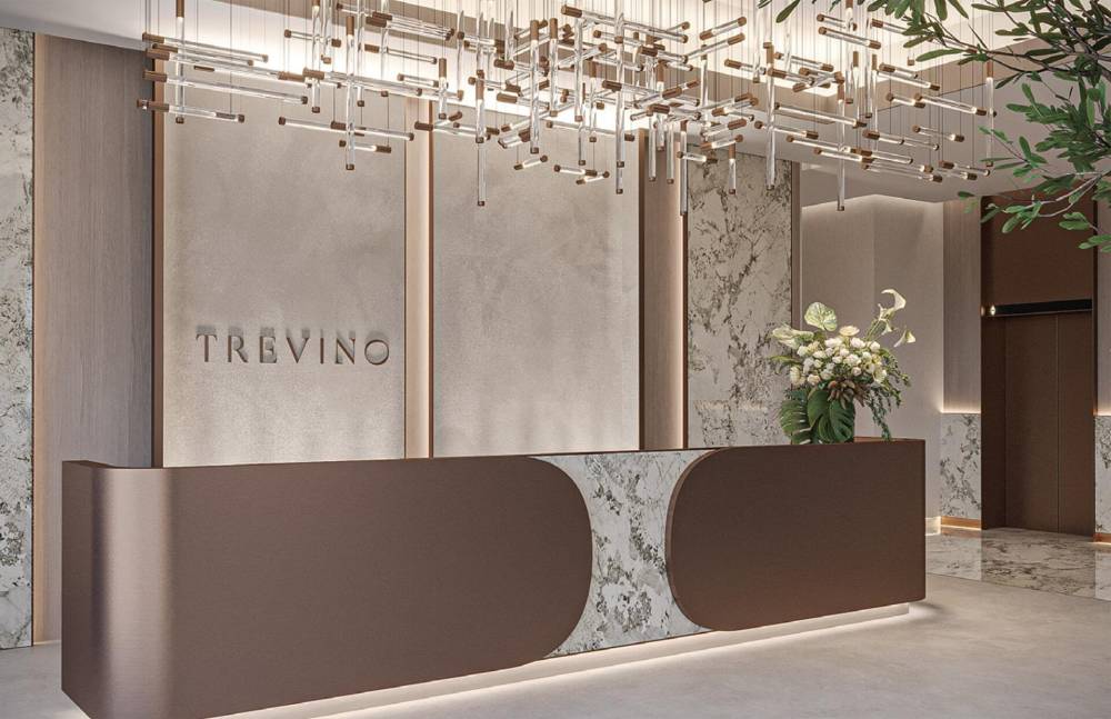Gallery Trevino#3