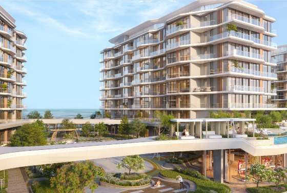 Flora Isle