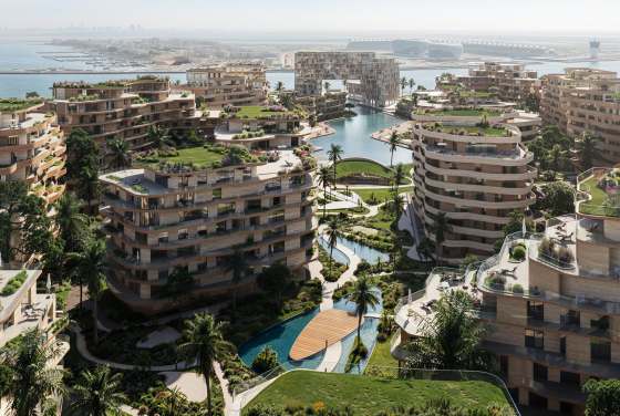The Wadi