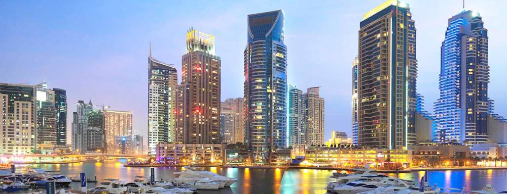 Gallery Marina Terrace#1