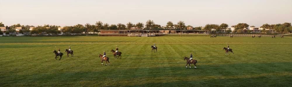 Gallery Chevalia Fields#14