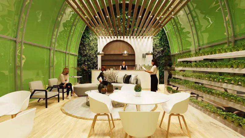 Interior design – Maimoon Gardens#4