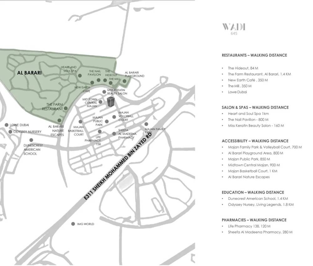 General plan – Wadi 645#1