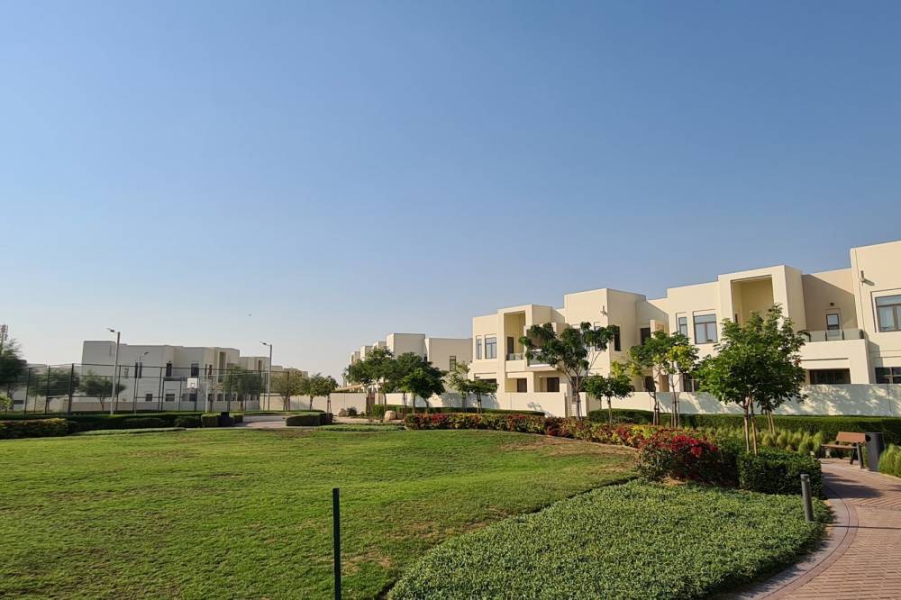 Gallery Mira Oasis 2#2