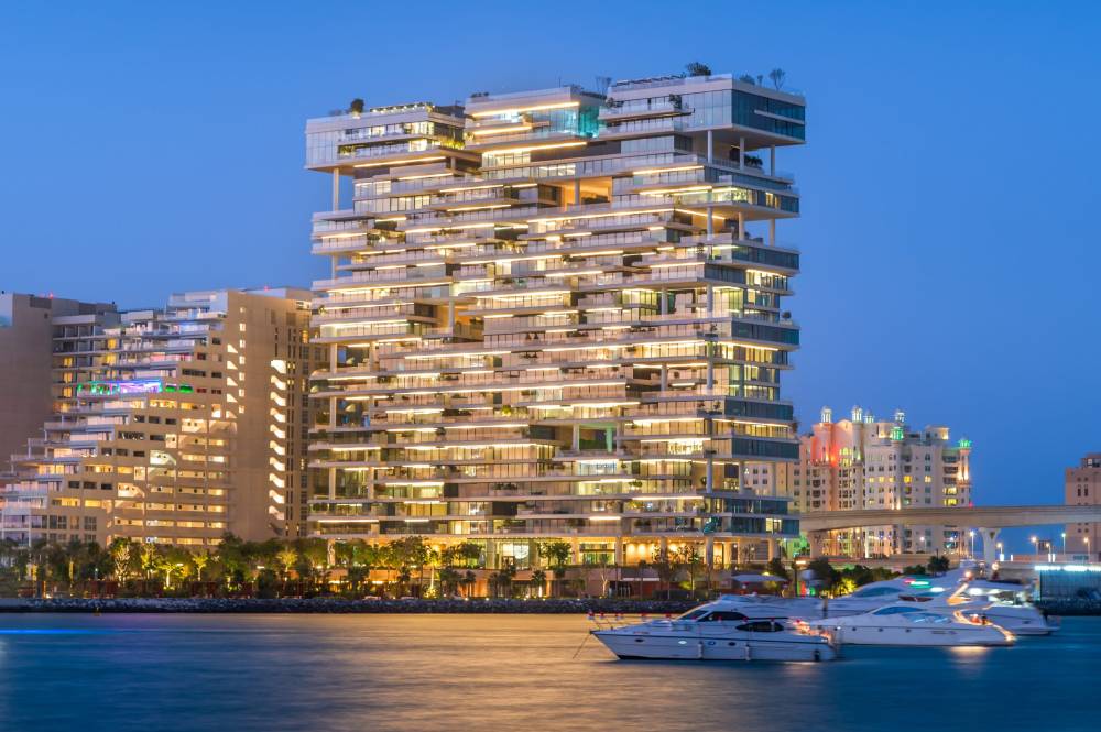 Gallery One Palm#2