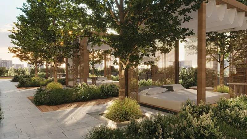 Gallery Albero#5