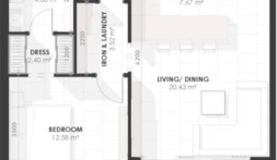 Plans Amazonia