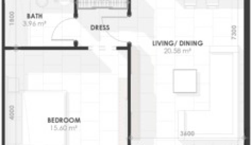 Plans Amazonia