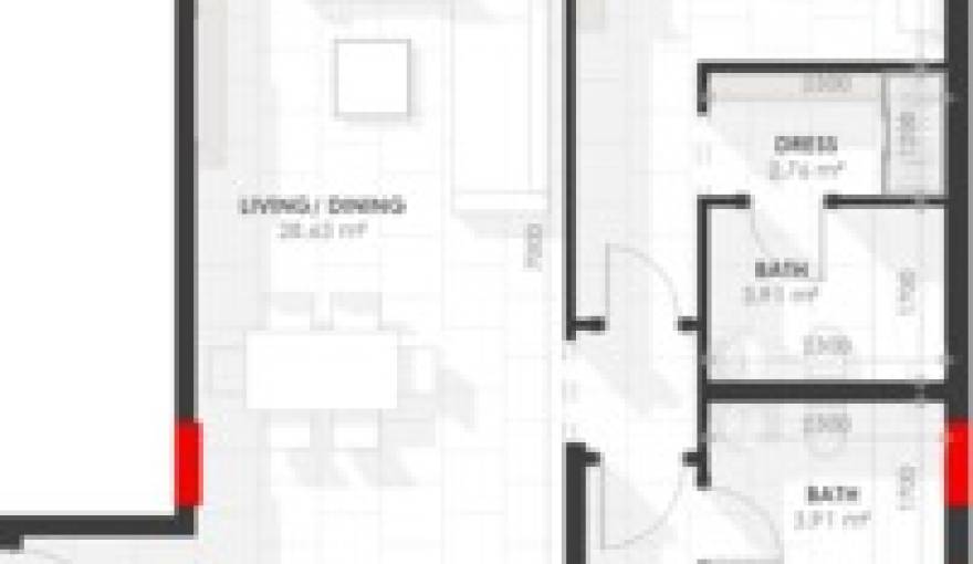 Plans Amazonia