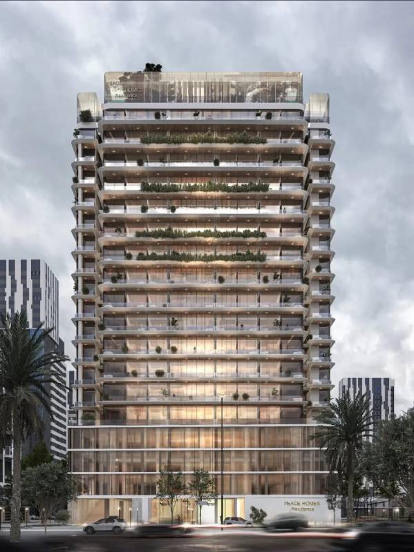 Gallery Peace Avenue#4