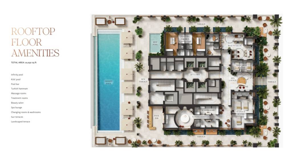 General plan – Elire#2