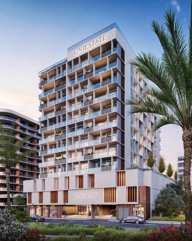 Gallery Oasis Lofts#2