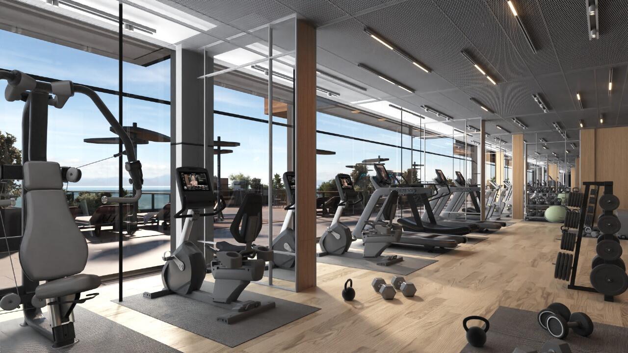 Gallery Celia Heights