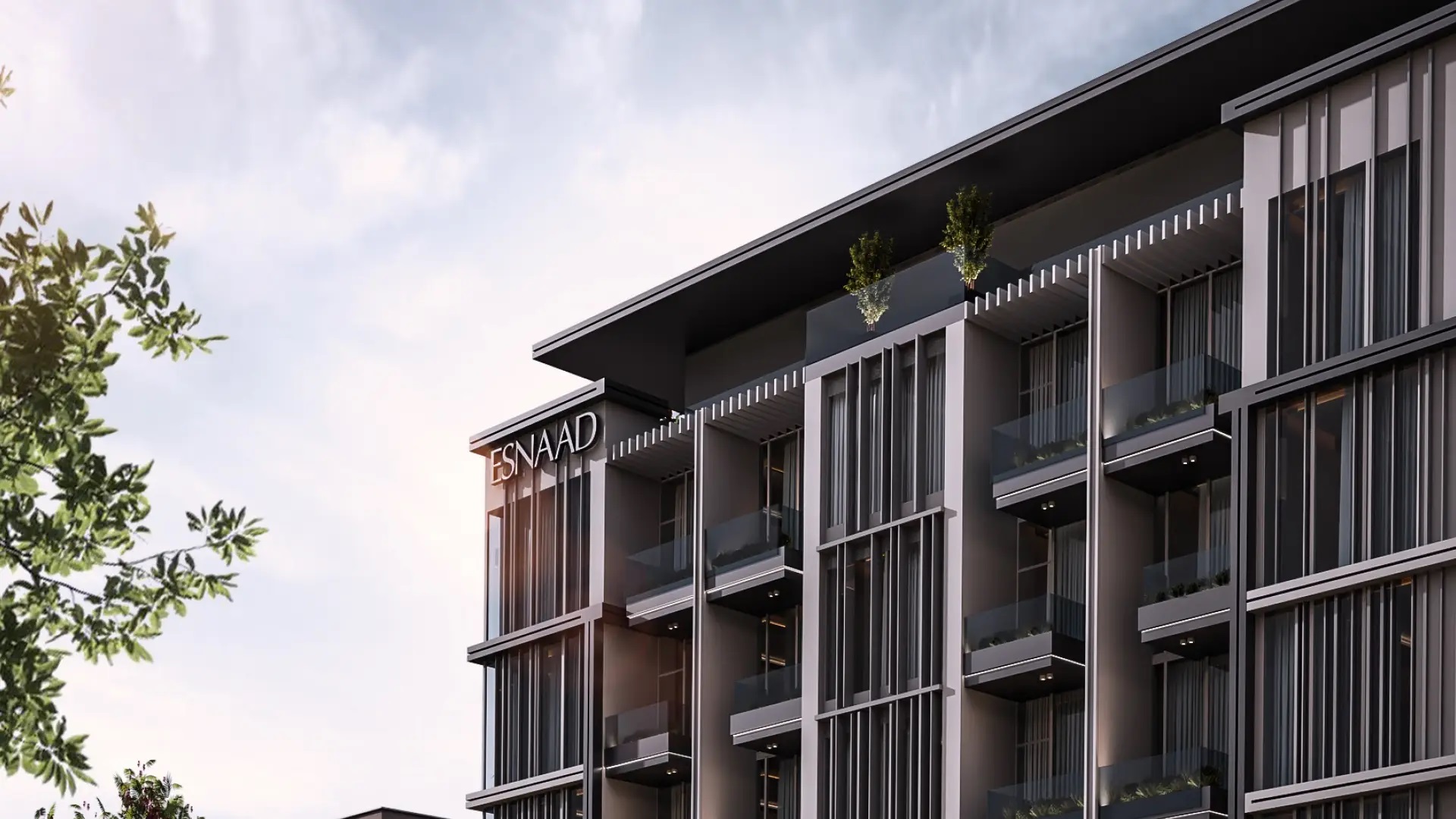 Gallery The Spark By Esnaad