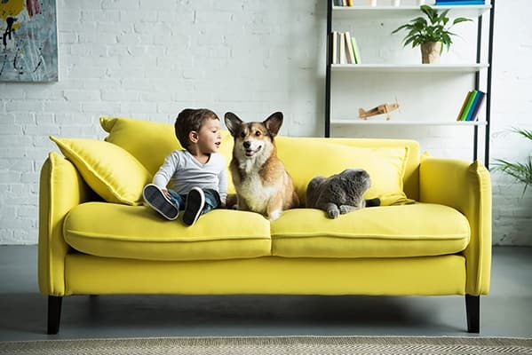 Need help finding your new home? Need help finding your new home?